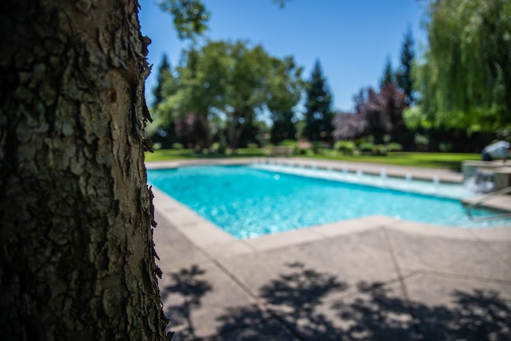 Custom pool detail with water feature